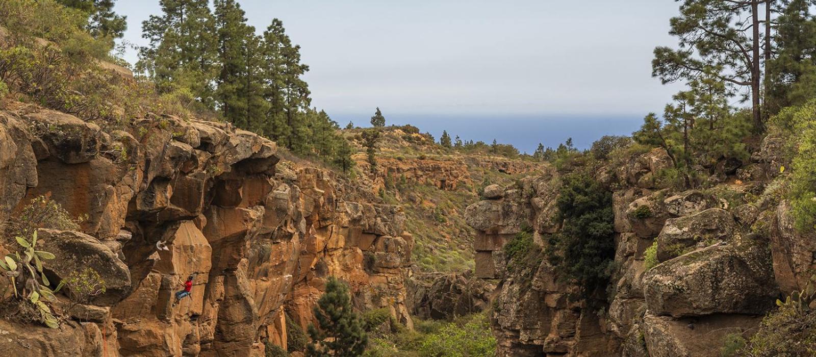 Tenerife Climbing House Arico Экстерьер фото